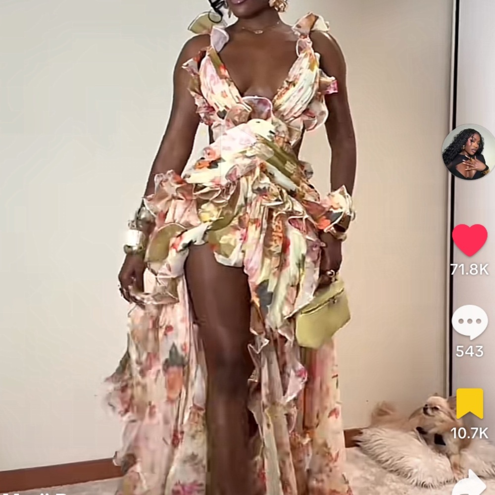 ISO - LOOKING FOR ASOS LUXE plunge maxi dress with ruched chiffon detail & open